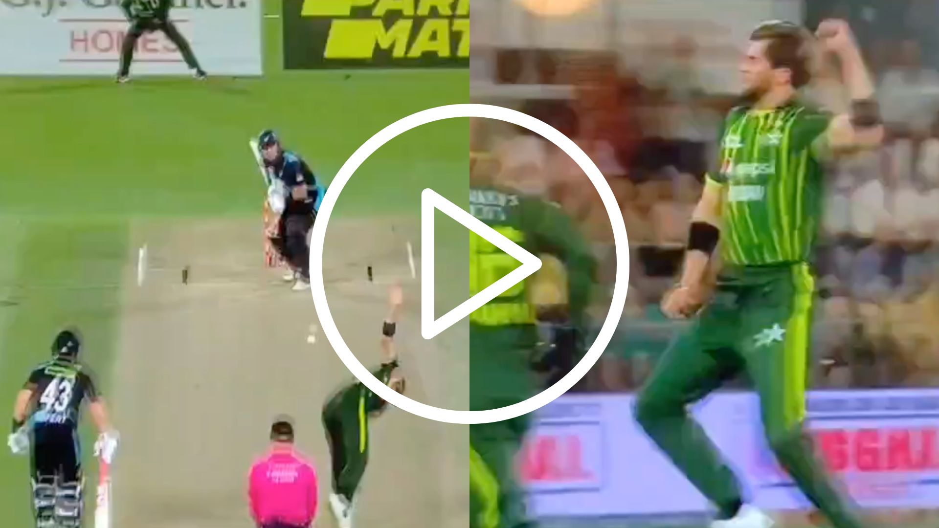 [Watch] Shaheen Afridi’s ‘Super-Aggressive’ Celebration After Deceiving Finn Allen